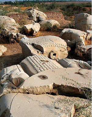 اجاره روزانه خانه در شیراز